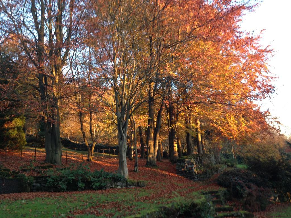 Robin Hood Farm B&B Baslow Esterno foto