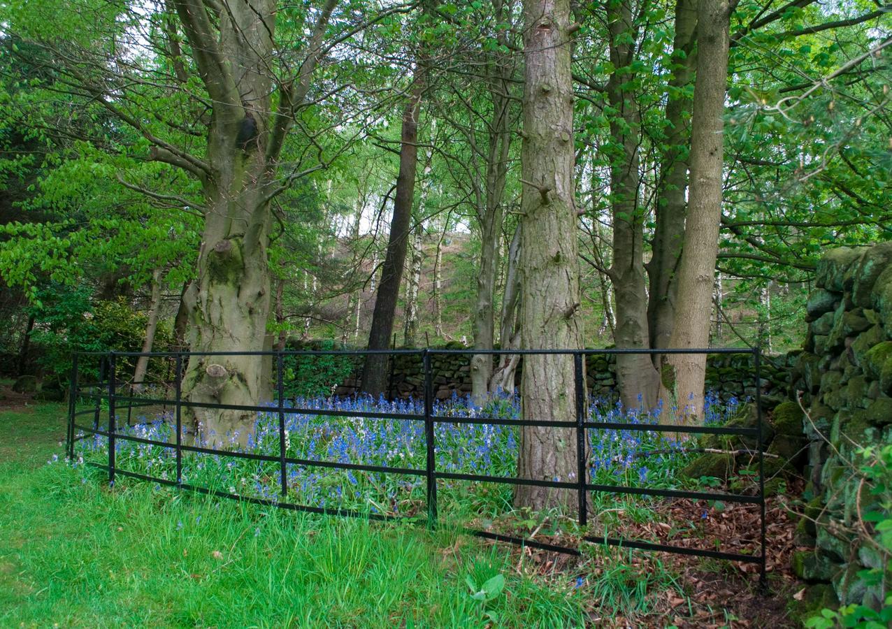 Robin Hood Farm B&B Baslow Esterno foto